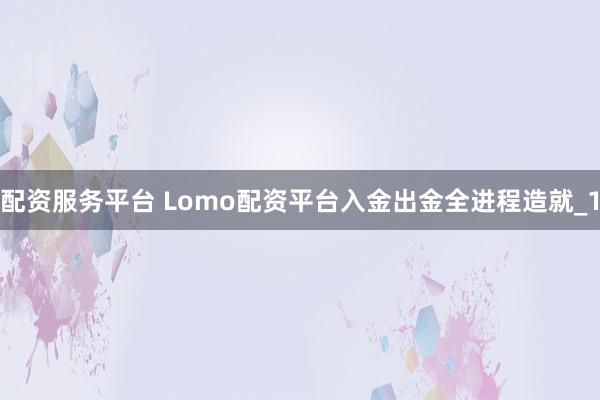 配资服务平台 Lomo配资平台入金出金全进程造就_1